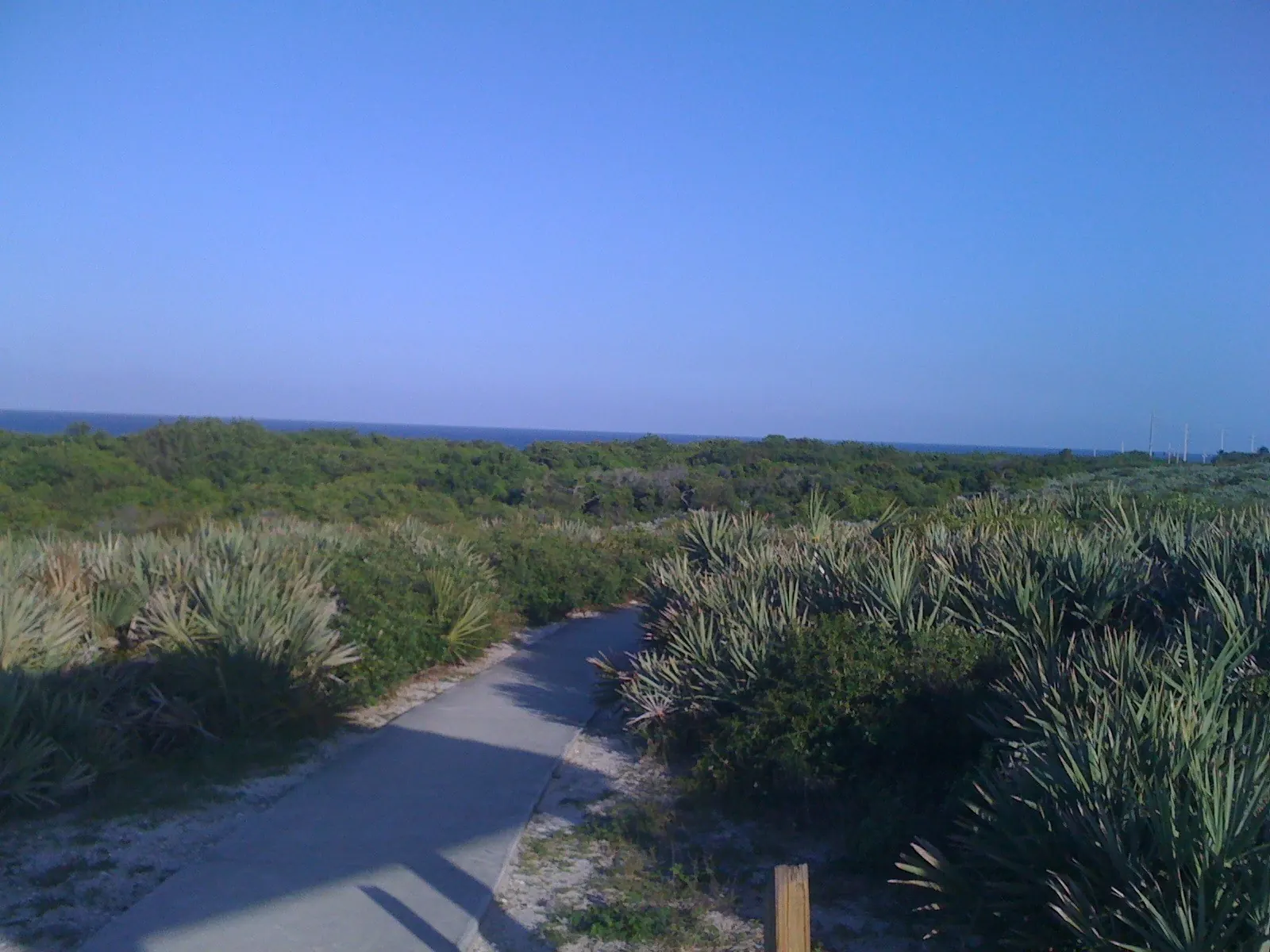 A paved path curves through low coastal scrub of saw palmetto and sea grape toward a strip of blue ocean on the horizon, under a clear blue sky; a wooden post stands at the lower edge.