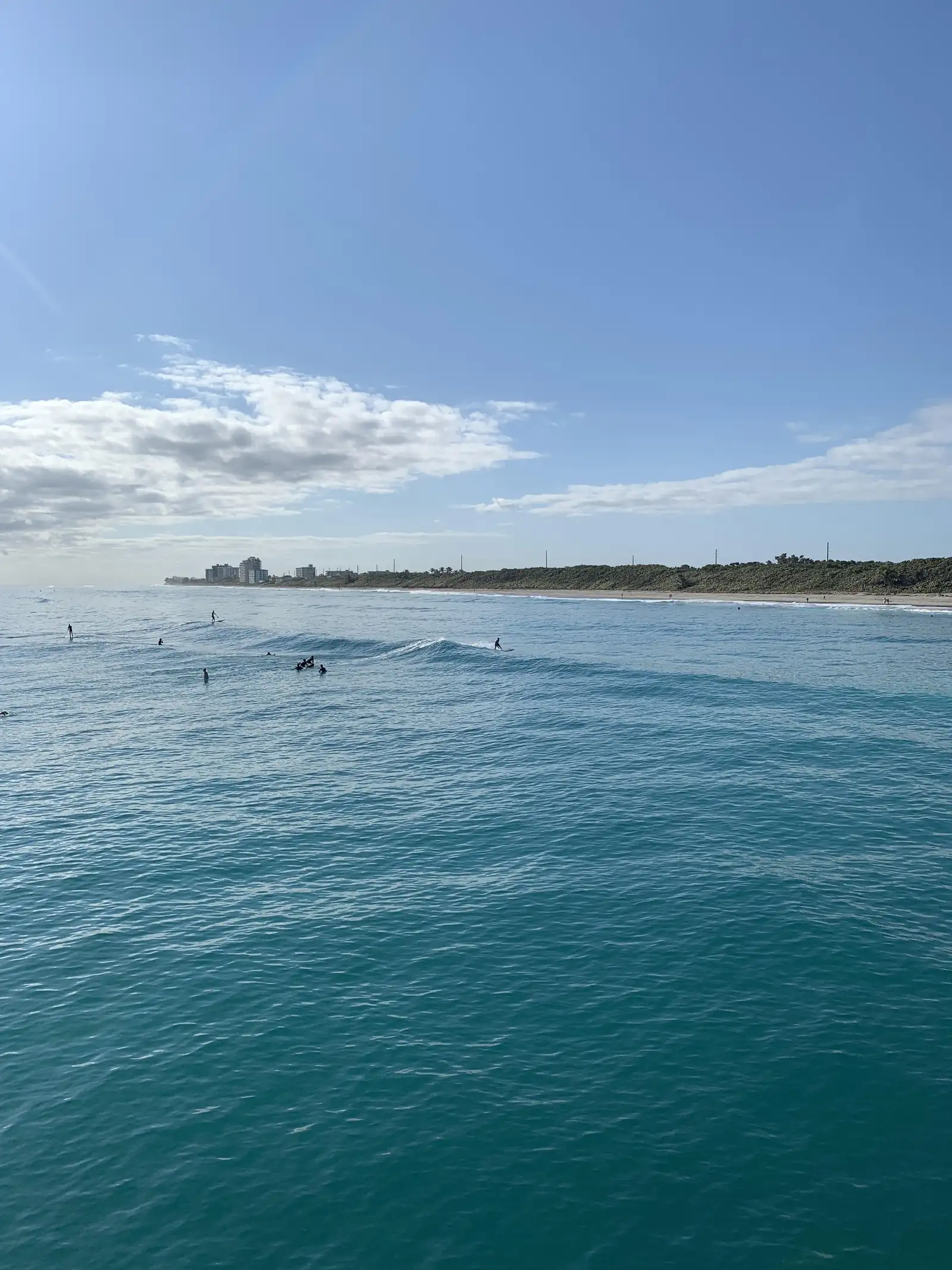 Portrait view from the water over calm teal ocean: surfers sit on boards in a lineup in the middle distance, with a low green shoreline and a few tall buildings on the horizon under a blue sky with white clouds.
