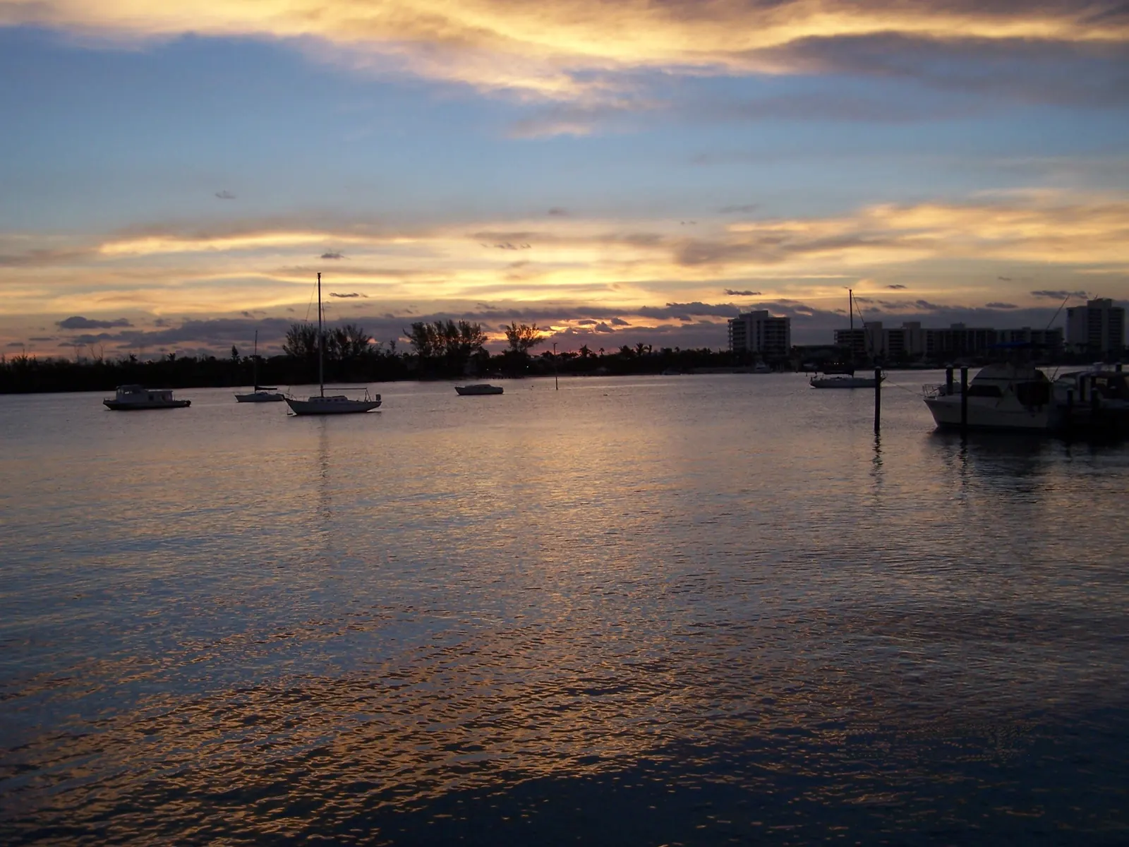 Early-morning sky streaked with gold clouds over calm water; sailboats and motorboats ride at anchor, with a dark tree line and mid-rise buildings on the far shore.