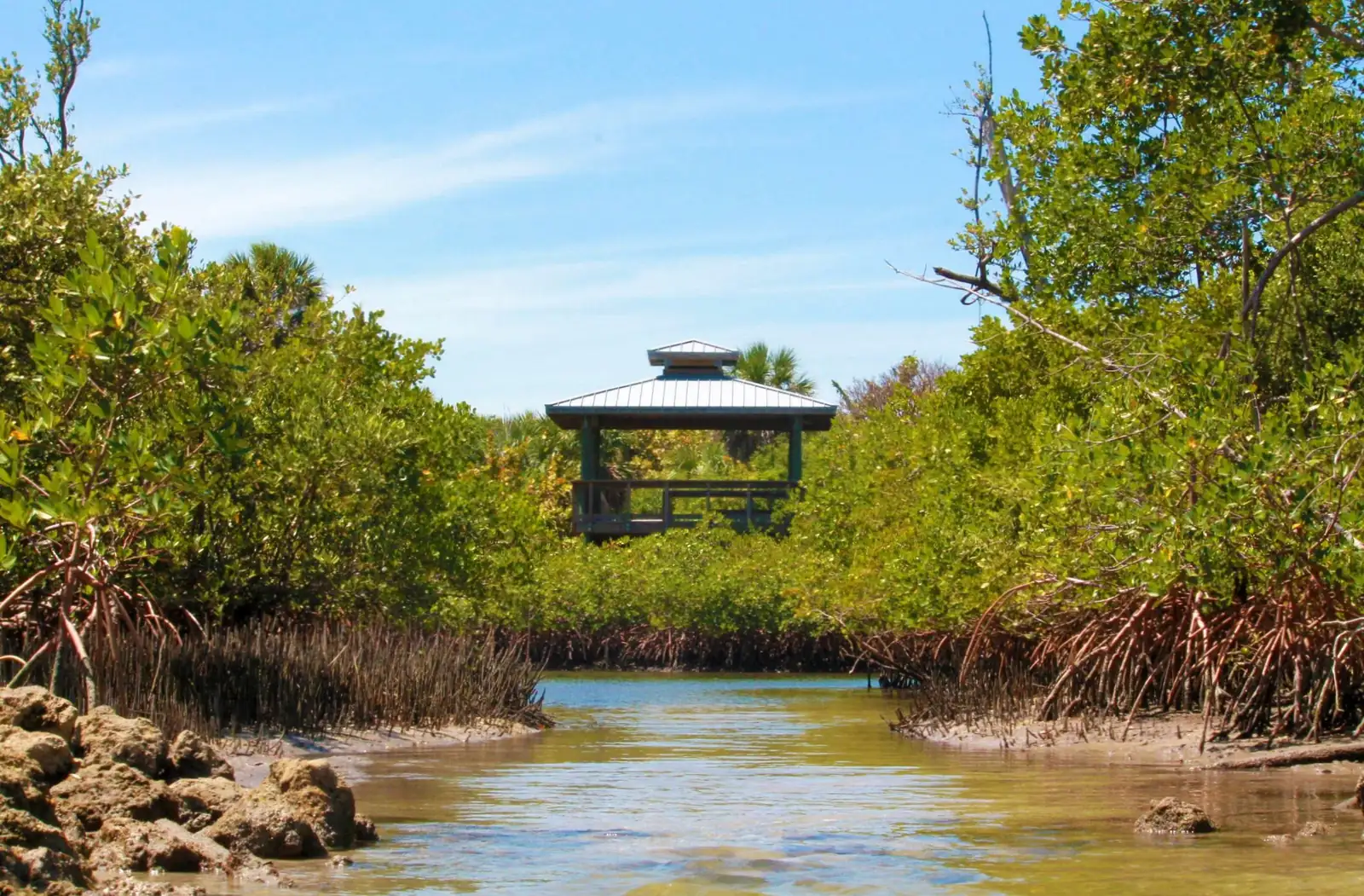 A shallow tidal channel winds between red mangroves and rocky limestone toward a green-roofed open shelter, under a blue sky.
