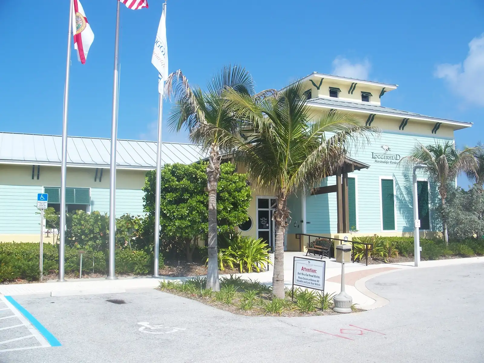 Three flagpoles with the Florida flag, the U.S. flag and a white banner stand before a pale aqua building with green shutters and 'Loggerhead Marinelife Center' lettering; palms, an accessible parking space and an 'Attention' sign are in front.
