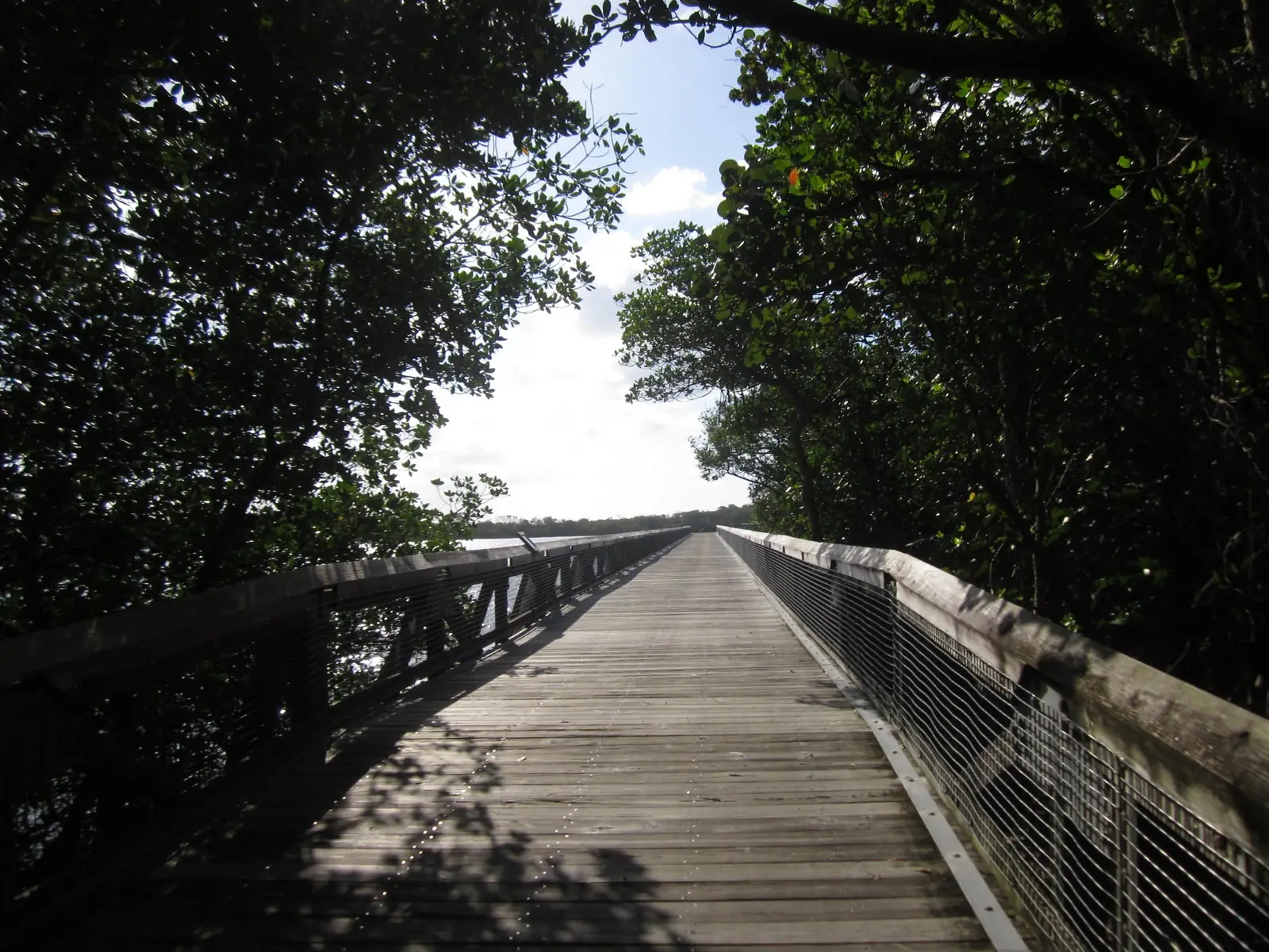 A long straight wooden boardwalk with cable railings runs between dark mangrove canopy toward open sky and water.